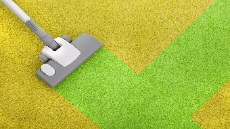 Types of Services for Carpet Cleaning Services in Minneapolis MN