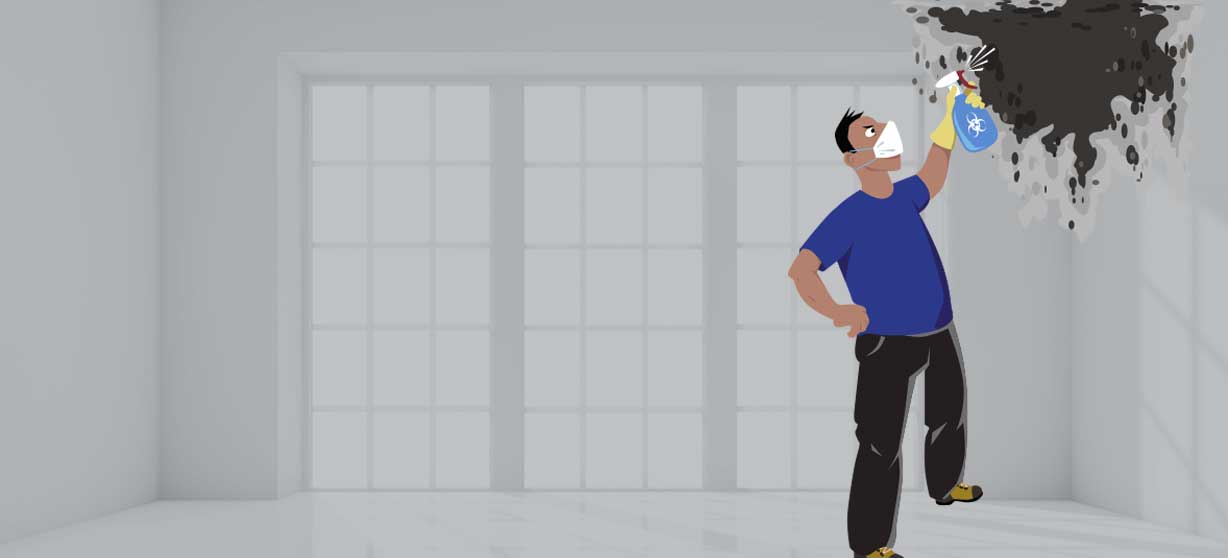 Commercial Pressure Washing Services in Oshkosh, WI Are Used to Remove Mold and Mildew