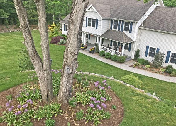 Creating a Desert Oasis with Landscape Design in Glendale, AZ