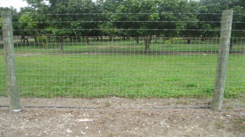 Compelling Reasons to Hire an Experienced Fence Company in Miami, FL