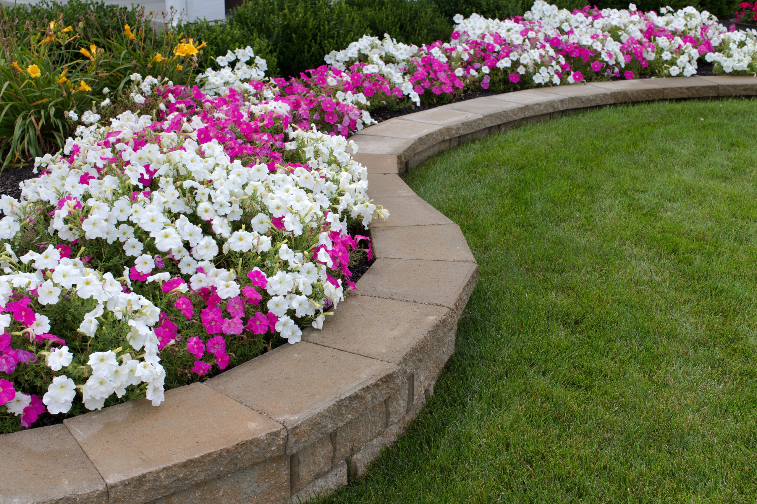 Custom Hardscape Design in Williamsburg, VA: Elevating Outdoor Living with Patios, Walkways, and More