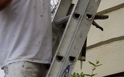 Best Painting Contractors Near Thornton CO: Quality and Efficiency