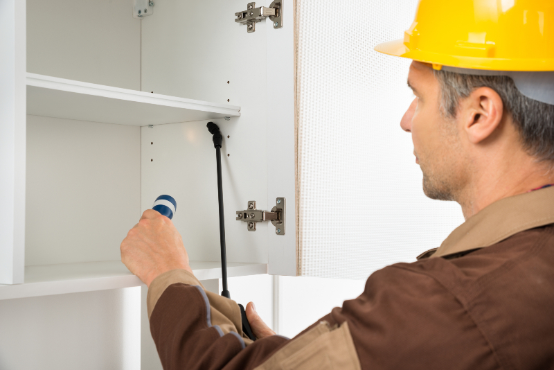 Local Expertise for Reliable Pest Control Services Christchurch Solutions