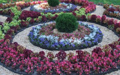 Revitalize Your Business Landscape with Exceptional Commercial Hardscaping Services