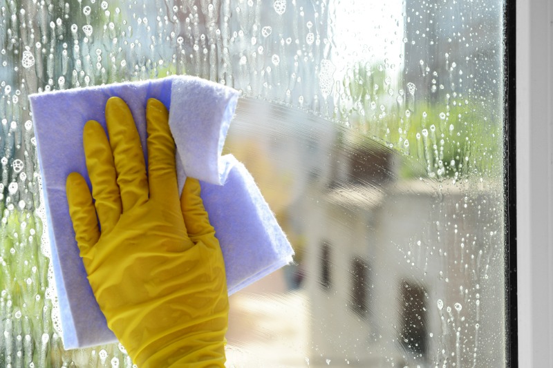 Experience Peace of Mind with Housekeepers In Redondo Beach, CA, for HassleFree Living