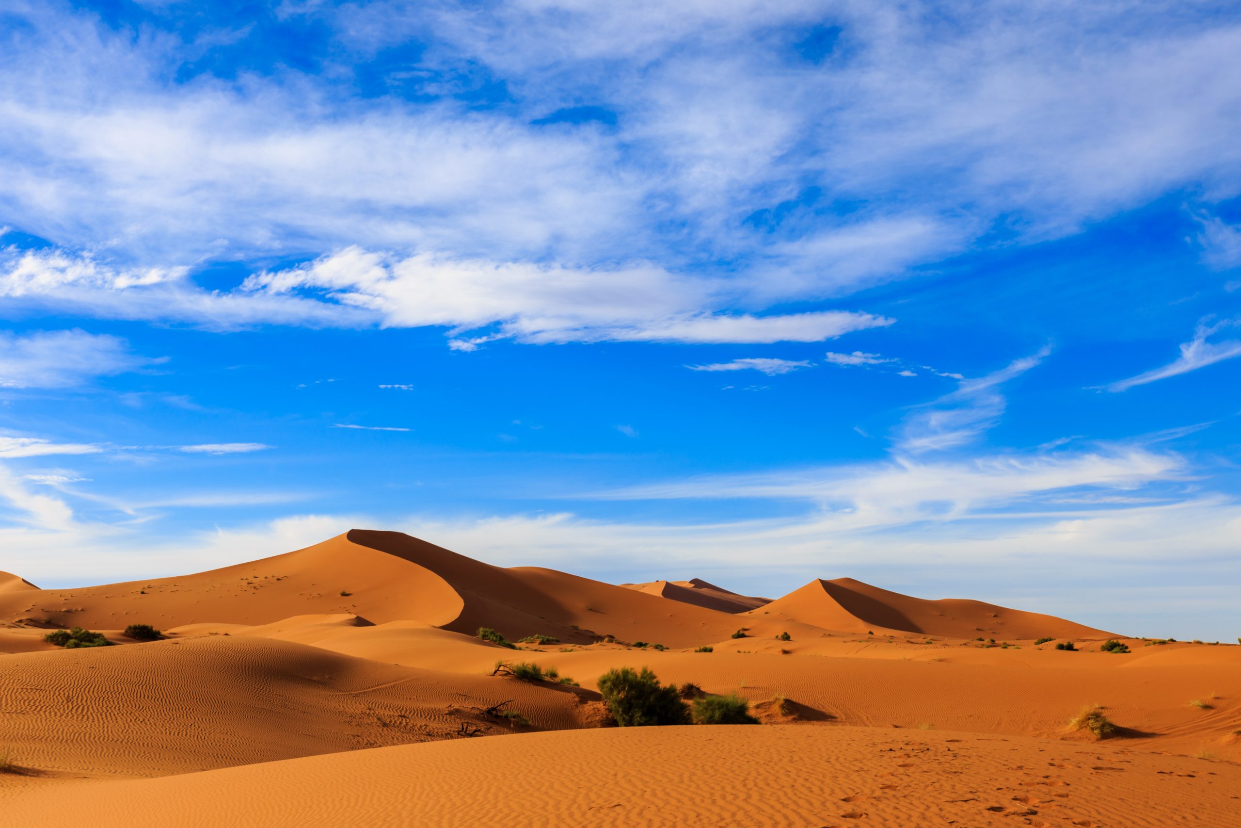 Venture Into the Atlas Mountains and the Sahara on a 3-Day Marrakech To Fes Adventure