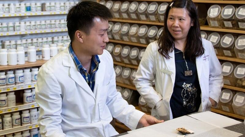 Unlock a New Career Path with Acupuncture Classes for Beginners Across the United States