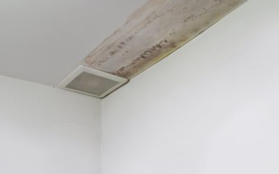 Fast Recovery After Flooding Begins With Reliable Water Damage Restoration In Carmel, IN