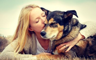 Simplifying Pet Parenting by Choosing Dog Day Care In Denver for Reliable Daily Care