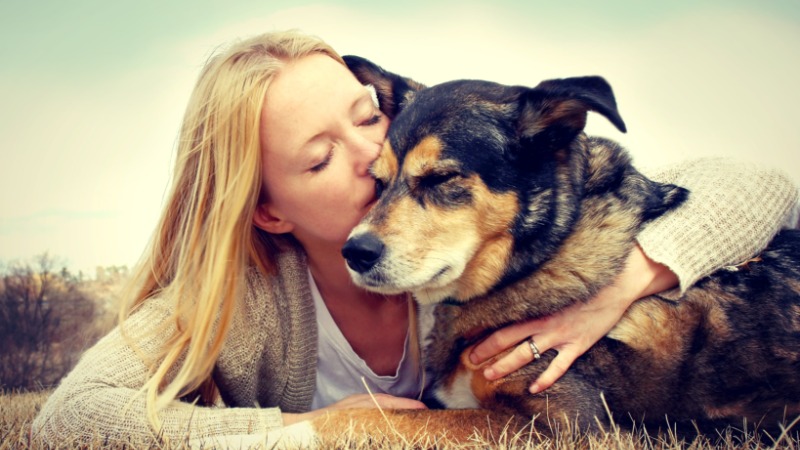 Simplifying Pet Parenting by Choosing Dog Day Care In Denver for Reliable Daily Care