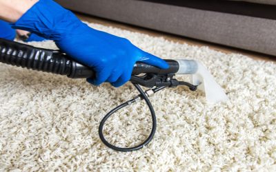 Deep Carpet Care with Carpet Steam Cleaning Near Oregon, WI