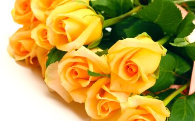 Bring Smiles to Loved Ones with Birthday Flowers Waukesha WI Residents Adore