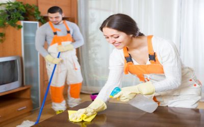 Keep Allergens Away Using Home Cleaning In St Charles, IL, Tailored for Busy Lifestyles