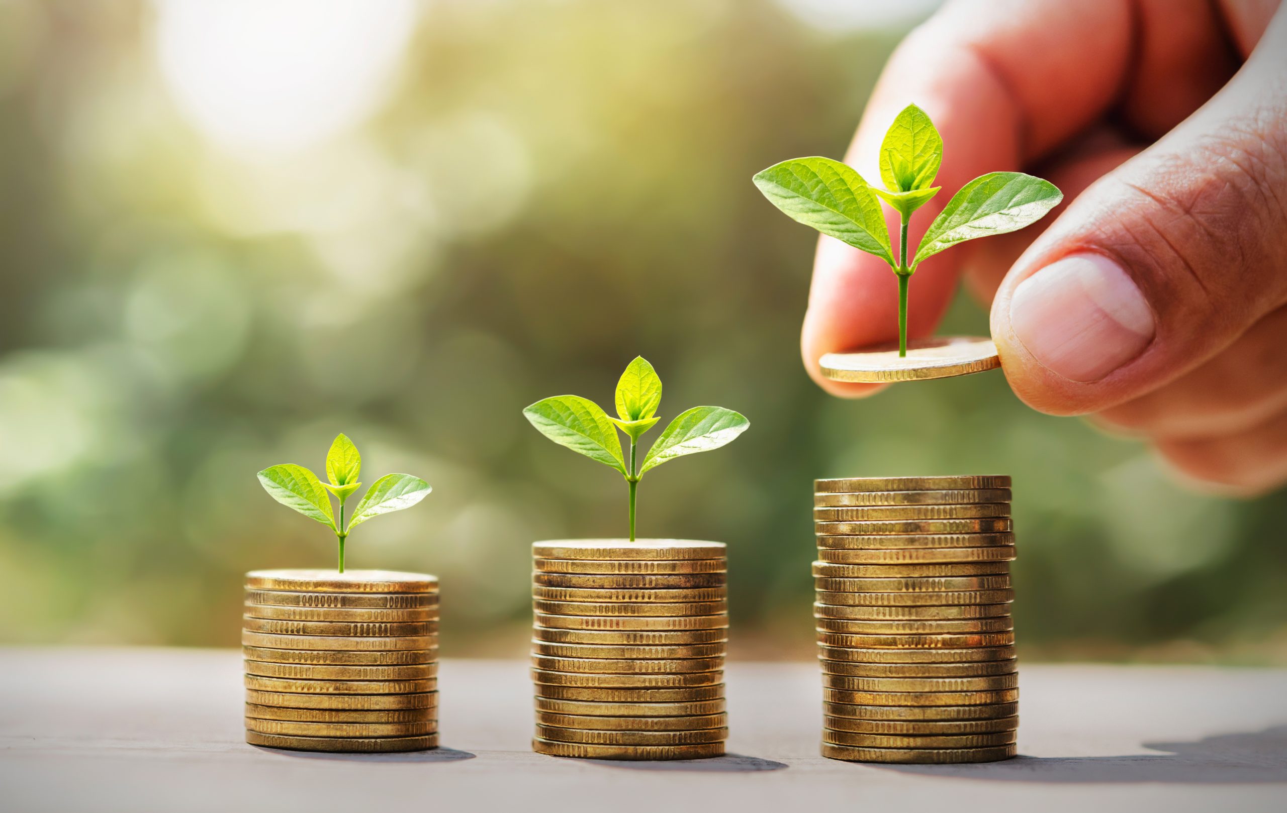 Planning Your Future with Tailored Wealth Management in Milwaukee, WI Solutions