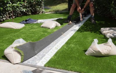 Achieve Lush Green Lawns Using the Best Bermuda Grass For Southern California Yards