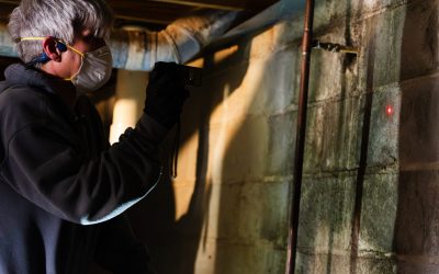 Protect your home with a mold removal service in Macon, GA, for healthier living