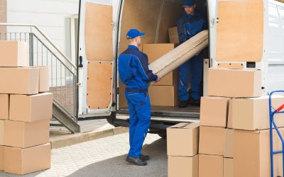 Moving Made Simple with a Hove Removals Company for Stress-Free Relocations Across the UK