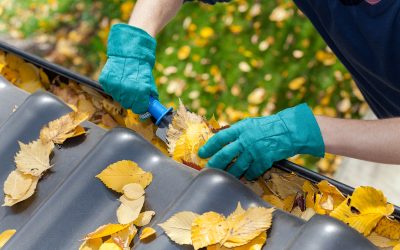 Reliable solutions for debris removal Ponte Vedra homeowners trust after storms and home projects