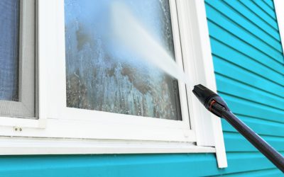 Why Do Multi-Pane French Doors Require More Detailed Window Washing?