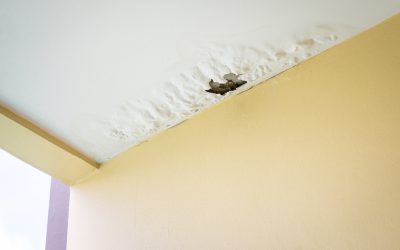 Avoid Expensive Repairs With Simple Drywall Crack Repair Holly Springs GA Solutions