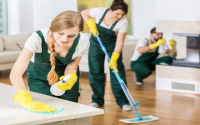 Enjoy a Healthier Space With Home Cleaning In Westlake, OH and Refresh Your Daily Living