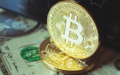 Why Working With a Gold Coin Seller in Westminster Co Benefits Local Investors