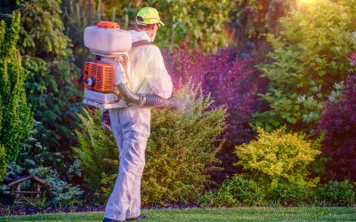 Simple Strategies for Safe Living With Pest Control Services Land O Lakes FL