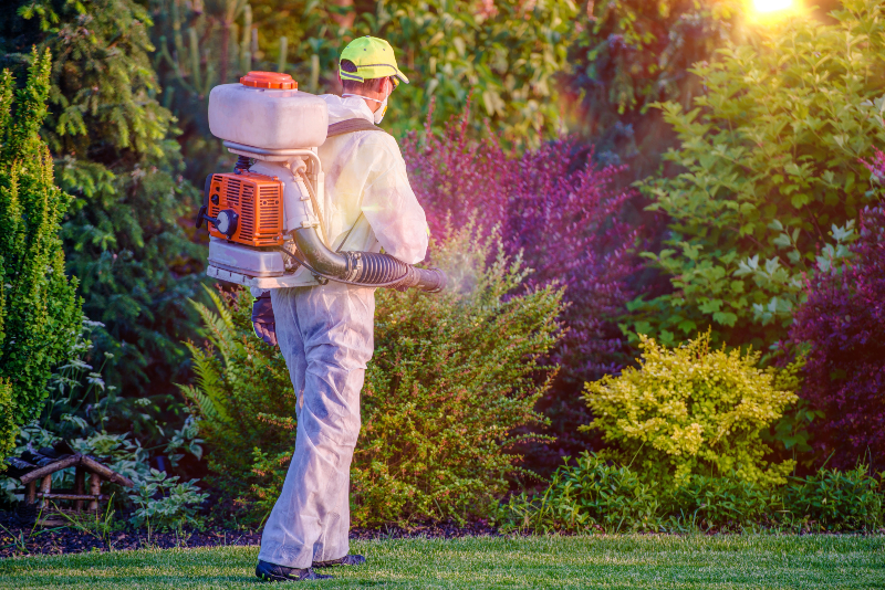 Simple Strategies for Safe Living With Pest Control Services Land O Lakes FL