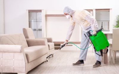 Signs Your Home Needs a pest control company in Cedar Grove, NJ for Lasting Relief